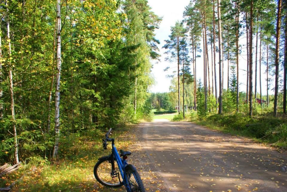 Дома для отпуска Cottage Elsa Куопио